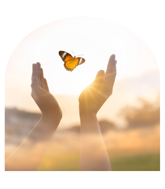 Mains ouvertes laissant s’envoler un papillon, symbole de transformation et de liberté en numérologie stratégique.